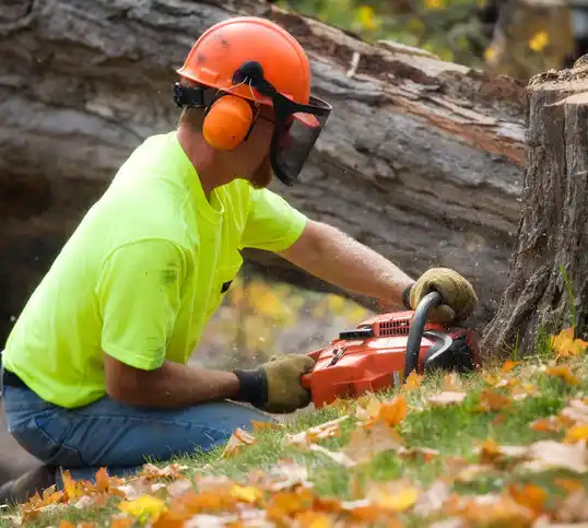 tree services Pojoaque